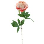 Umělá pivoňka TALFY, růžovo-krémová, 65cm