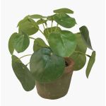 Umělá pilea SYBIL v terakotovém květináči, zelená, 13cm