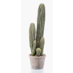 Umělecký kaktus San Pedro DACON v ozdobném květináči, zelený, 55cm