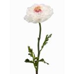 Textilní pryskyřník ELORIO, krémově růžový, 50cm