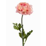 Textilní pryskyřník ELORIO, růžovo-růžový, 50cm