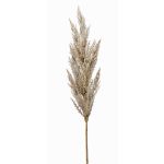 Umělá větev pampy trávy lata BATERNO, krémová, 90cm
