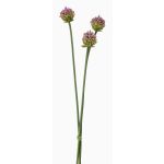 Umělý svazek květů allium cepa LAMDA, fialovo-zelený, 65cm