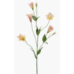 Umělá jícnovka PAZAN, růžovo-krémová, 70cm