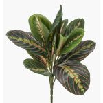 Umělá maranta SITULA na zápichu, zeleno-červená, 30cm