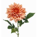 Umělá jiřina ZELRAN, broskvová, meruňková, 70cm, Ø15cm