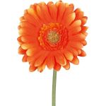 Umělá gerbera TUNZA, oranžová, 50cm