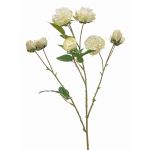 Umělá větvička kapustové růže TRUVOL, bílo-zelená, 65cm