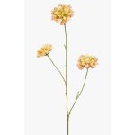 Dekorativní větvička Scabiosa DIHALLY, žluto-broskvová, 80cm