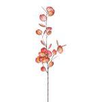 Dekorativní větev eukalyptu VORTAN, korálová, 85cm
