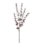 Dekorativní větev eukalyptu TRELVO, burgundská, 75cm
