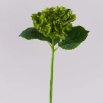 Umělá hortenzie MYNMAR, zelená, 35cm, Ø14cm