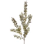 Umělá větev listnatce ELENIE, zelená, 95 cm