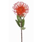 Umělá protea BAILY, oranžová, 55cm, Ø10cm