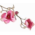 Textilní magnólie KOSTAS, růžovo-fuchsiová, 55cm, Ø6-8cm