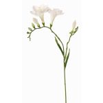 Textilní květina frézia MARUSHA, bílá, 70cm, Ø6cm