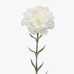 Umělý karafiát NIRUSHA, bílý, 65cm
