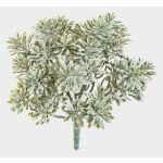 Dekorační crossostephium ALGOL, na zápichu, pro interiér i exteriér, šedozelená, 20cm