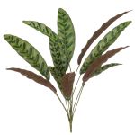 Dekorativní calathea makoyana WIDO na zápichu, zeleno-vínová, 70cm