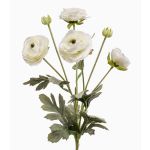 Umělý ranunculus HIBBA, krémový, 65cm