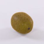 Plastové kiwi SURATA, hnědé, 6cm