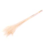 Dekorační paví peří NOYANA ve svazku, 5 kusů, bělená bílá, 65-85cm
