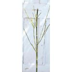 Umělá bambusová větev HARUTO, 105cm
