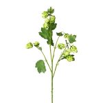 Umělá chmelová větev DRIHOL s květy, zelená, 75cm