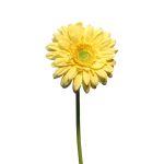 Umělá květina gerbera QIUDONG, žlutá, 50cm