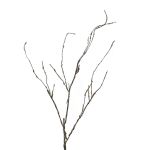 Dekorativní větev vrby babylonské LIFEN, hnědá, 95cm