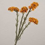 Umělý plážový šeřík AYISHA, suchý vzhled, oranžový, 65cm