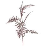 Dekorativní větvička Asparagus plumosus GIONA, tmavě červená, 85cm