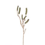 Větev pro čištění válců HEMES s ovocem, zelená, 60cm