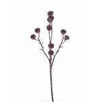 Umělá větev eukalyptu BASILIUS s plody, hnědá, 60cm