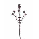 Umělá větev eukalyptu BASILIUS s plody, hnědá, 60cm