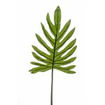 Art Philodendron Selloum list GINO, 100cm