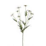 Umělá sedmikráska LASAI, krémová, 75cm, Ø4-5cm