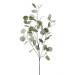 Umělá větev eukalyptu COLTON, zelenošedá, 85cm