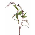 Umění americké větve pokeweed BARRY, bobule, černá, 95cm