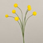 Umělá craspedia globosa STEPHANOS, žlutá, 60cm, Ø2,5-3cm