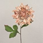 Sametová jiřinka MINBU, lososová, 60cm, Ø18cm