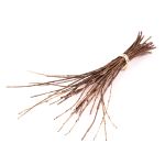 Korkové větvičky KAUKO ve svazku, přírodní, 40-70cm