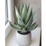 Dekorativní Agave americana HEDI v terakotovém květináči, zelená, 35cm