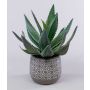 Dekorativní Agave americana HEDI v terakotovém květináči, zelená, 35cm