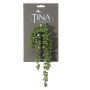 Umělý sukulent Senecio NELLAS, zátka, zelená, 35cm