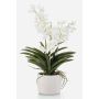 Umělá orchidej Vanda PAVRA v keramickém květináči, kořeny, bílo-krémová, 60cm