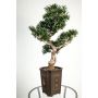 Umělý strom bonsai steintis TRISTAN, s kořeny, v dekoračním květináči, 90cm