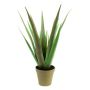 Umělohmotné aloe vera LUCIO v dekoračním květináči, zelená, 55cm, Ø25cm
