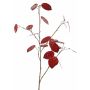 Dekorativní větev Lunaria LOUDIAS, červená, 90cm
