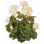 Umělá květina pelargonie MIA na zápichu, krémová, 35cm, Ø6-9cm
